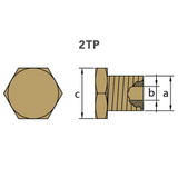 Tecnoseal 02021/1TP - Tecnoseal Brass Plug For Caterpillar Pencil Anodes 