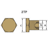 Tecnoseal 02031TP - Tecnoseal Onan Brass Plug 3/8" BSPT 