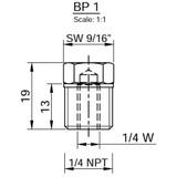Tecnoseal BP1 - Brass Plug for 1/4"W ZP10 Anodes 1/4inch NPT 