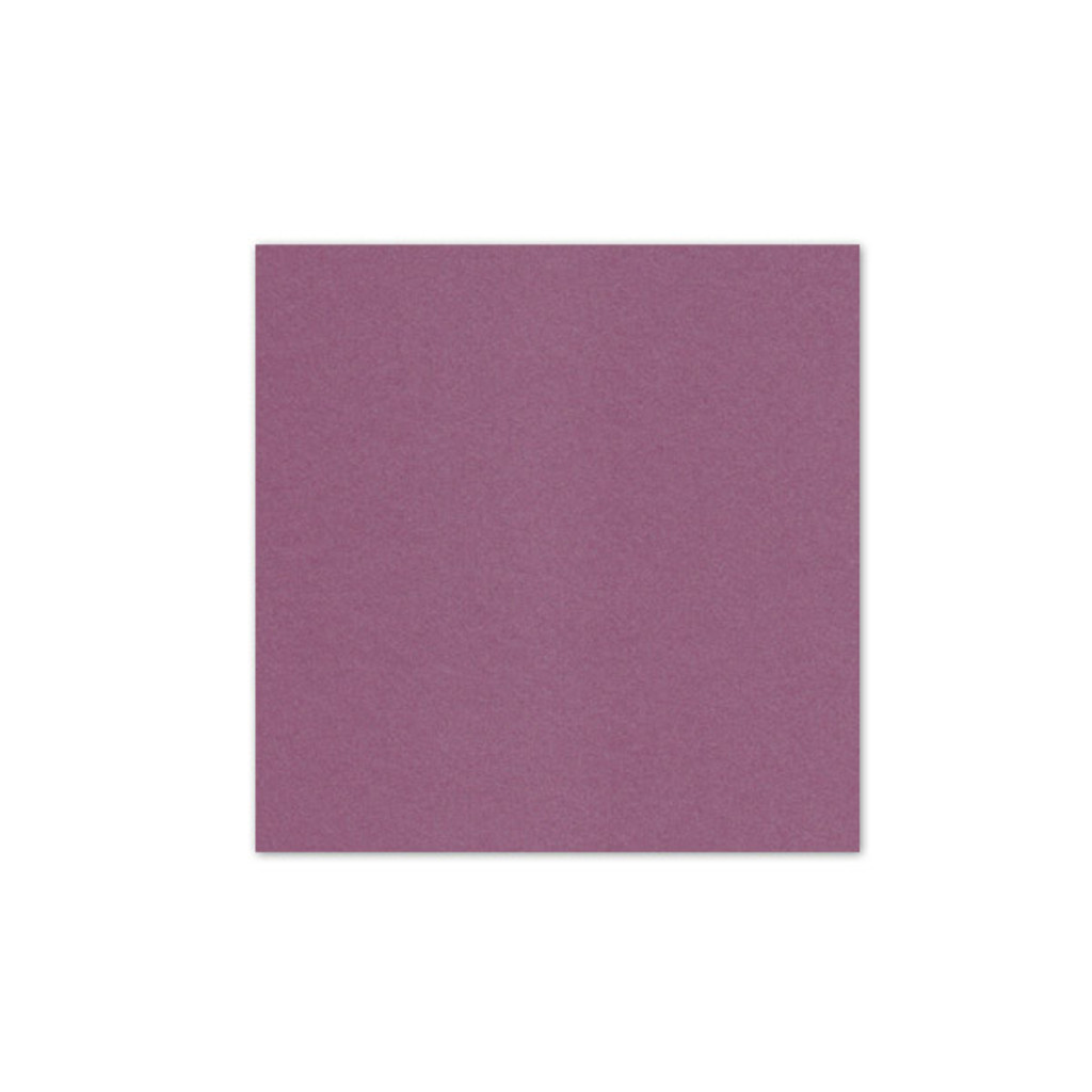 5.875 x 5.875 Cover Weight Punch