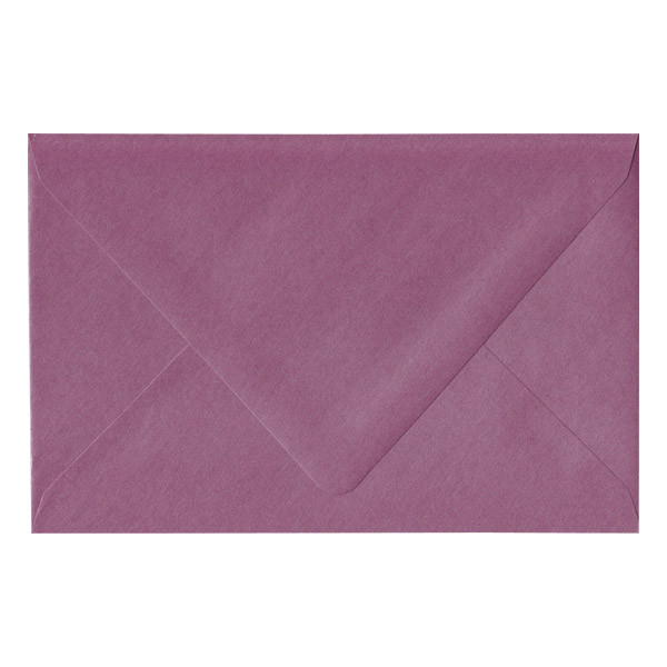 A9 Euro Flap Punch Envelope