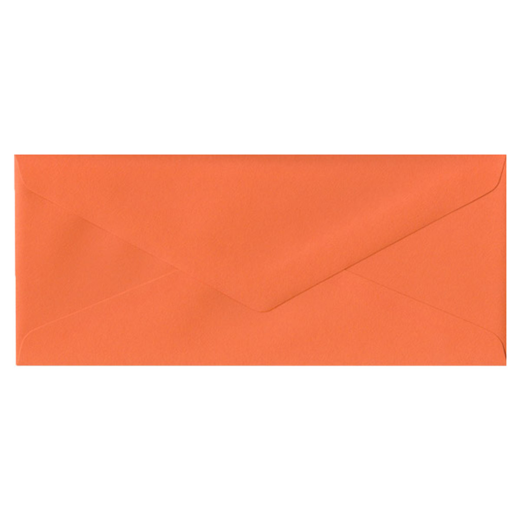 No.10 Euro Flap Mandarin Envelope