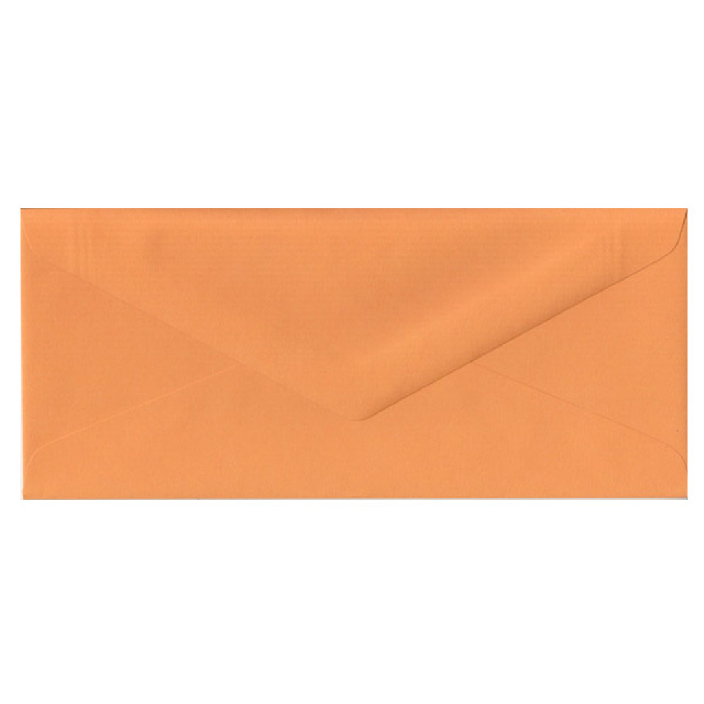 No.10 Euro Flap Orange Fizz Envelope