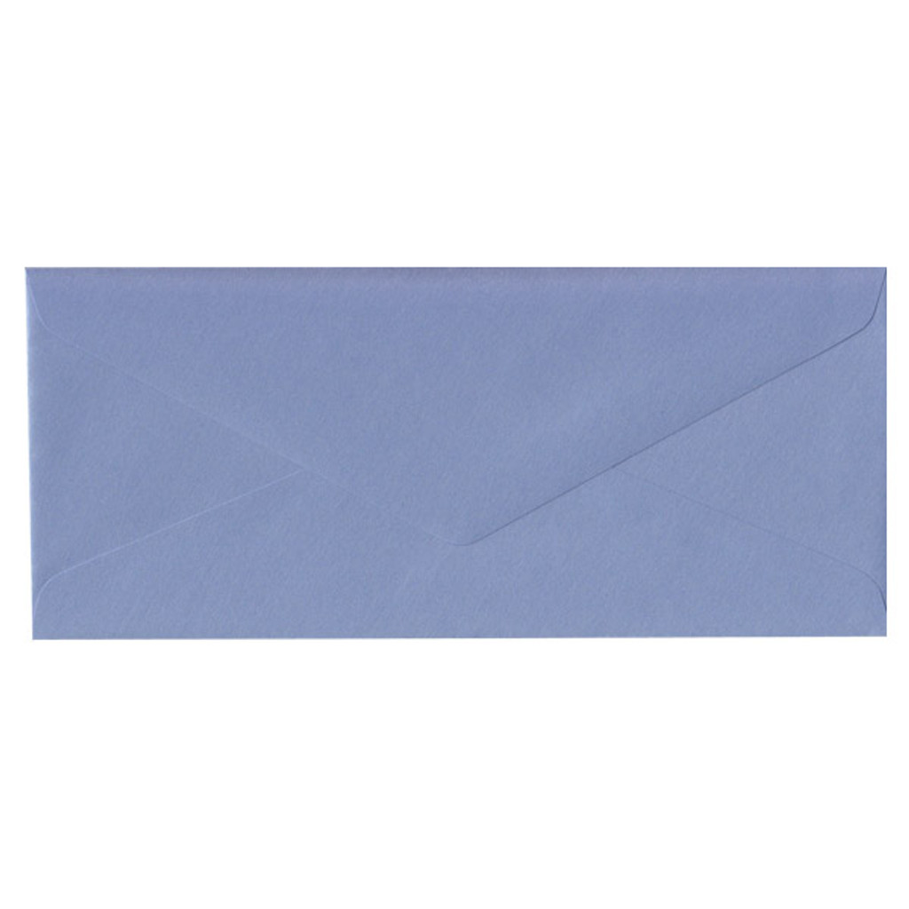 No.10 Euro Flap Vista Envelope