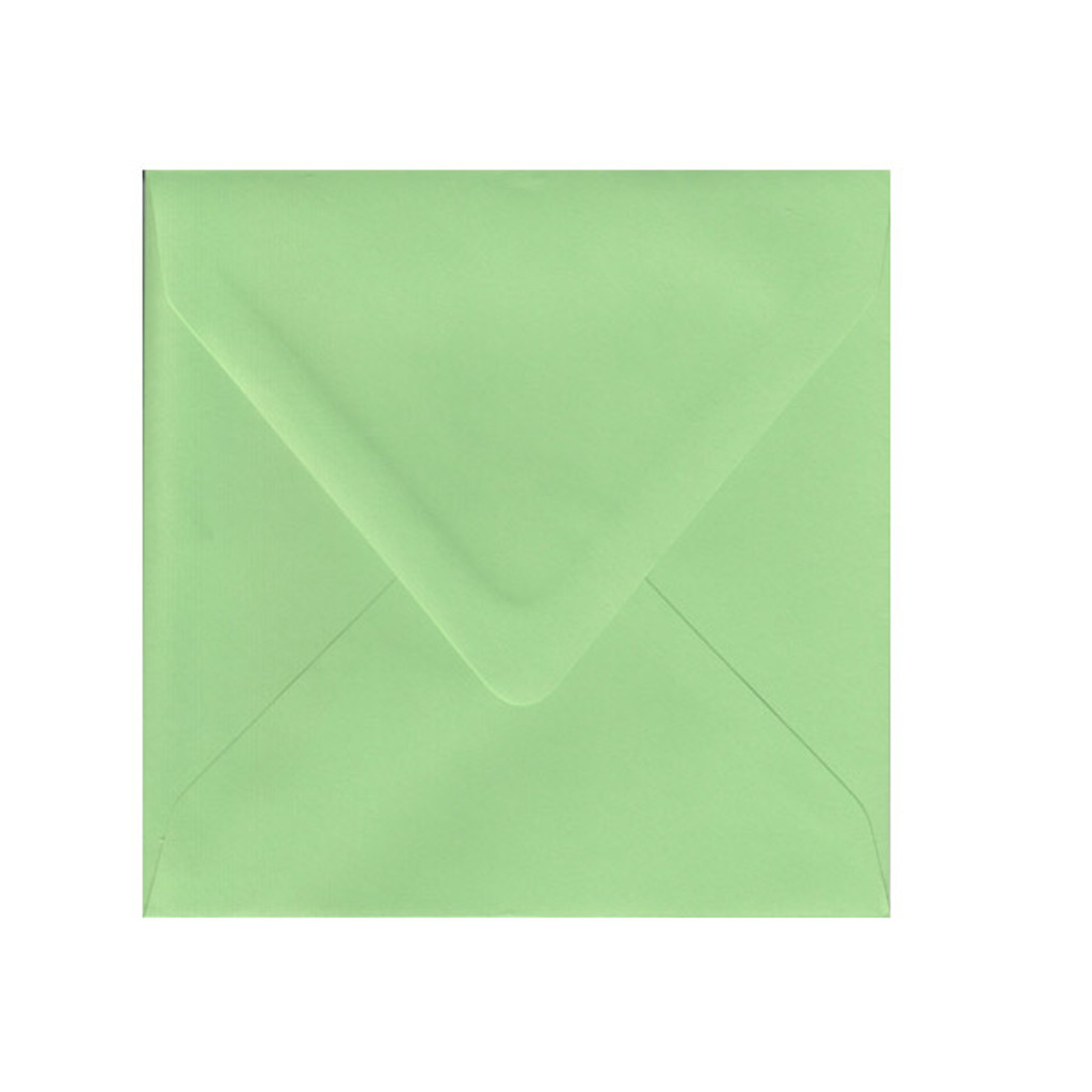 6.75 SQ Euro Flap Limeade Envelope