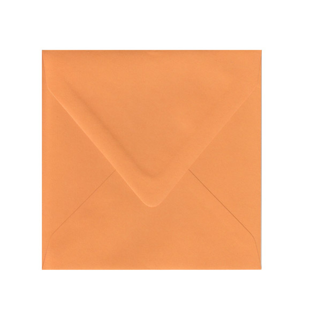 6.75 SQ Euro Flap Orange Fizz Envelope
