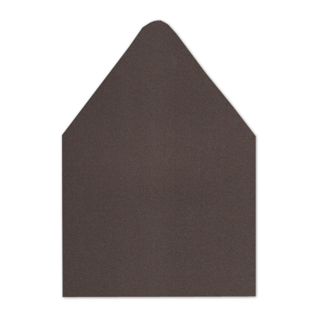 A+ Euro Flap Envelope Liners Bronze