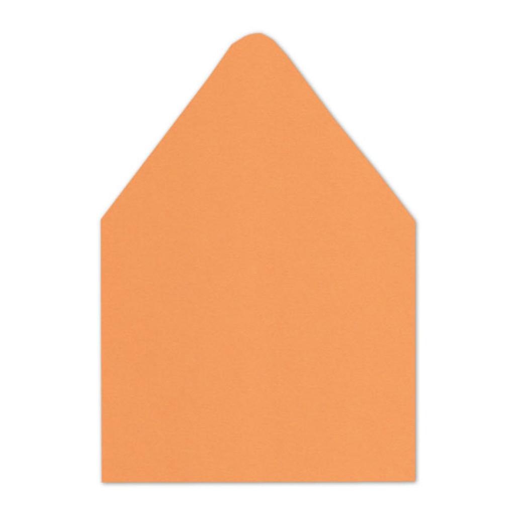 A9 Euro Flap Envelope Liners Orange Fizz