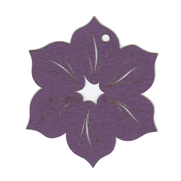 Tropical Flower Shape Pack