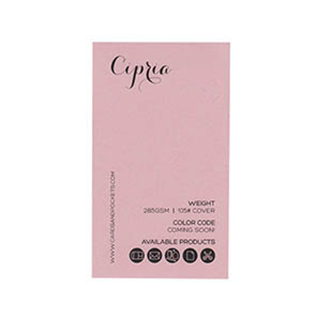 Cipria Swatch