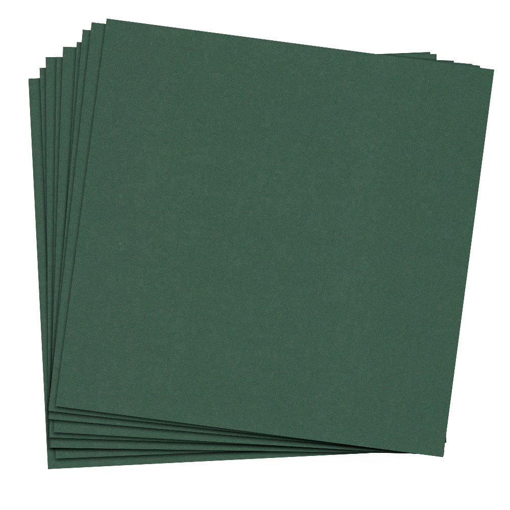 12 x 12 Cover Weight Fern