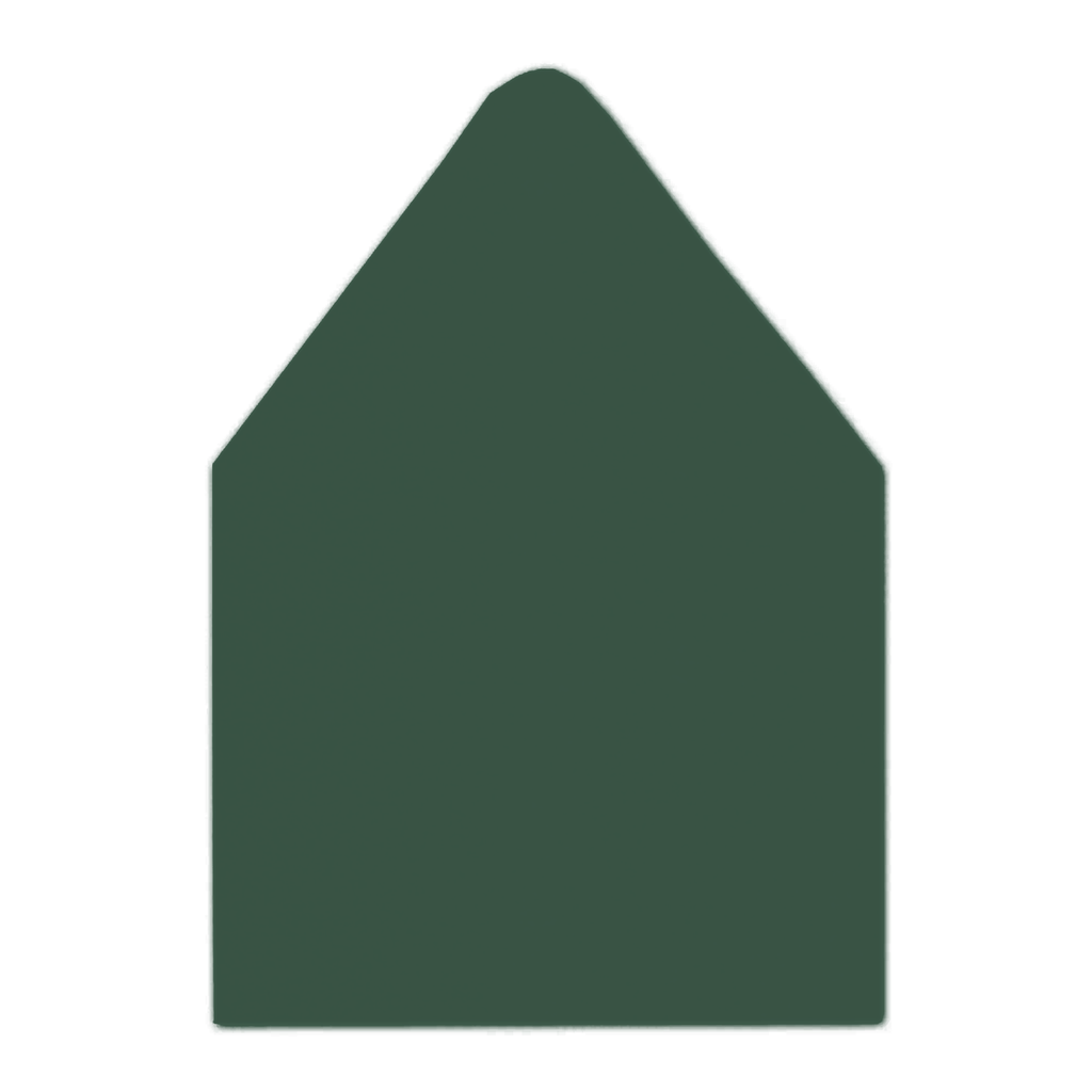 A9 Euro Flap Envelope Liners Fern