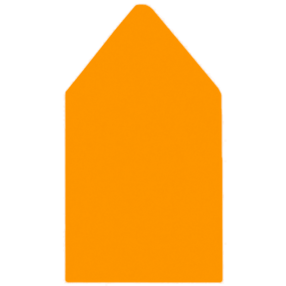 6.75 SQ Euro Flap Envelope Liners Sunset