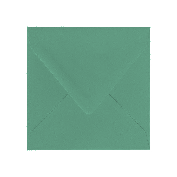 6.5 SQ Euro Flap Eucalyptus Envelope