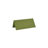 2 x 4 Folded Cards Moss