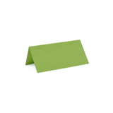 2 x 4 Folded Cards Sour Apple