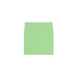 RSVP Square Flap Envelope Liners Limeade