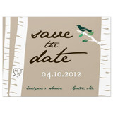 Birch Trees  - Save The Date