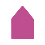 A2 Euro Flap Envelope Liners Taffy