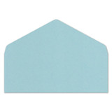 No.10 Euro Flap Envelope Liners Berrylicious