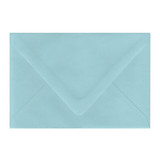 A9 Euro Flap Berrylicious Envelope