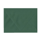 A+ Euro Flap Fern Envelope