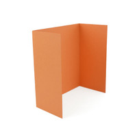 6 x 6 Gate Cards Orange Fizz