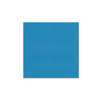 5.875 x 5.875 Cover Weight Tabriz Blue