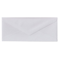No.10 Euro Flap Cool Grey Envelope