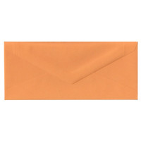 No.10 Euro Flap Orange Fizz Envelope