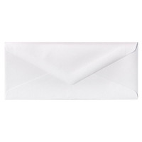 No.10 Euro Flap White Frost Envelope