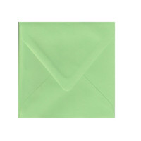 6.75 SQ Euro Flap Limeade Envelope