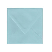 6.5 SQ Euro Flap Berrylicious Envelope