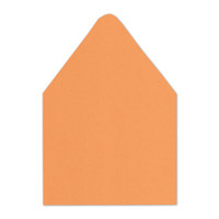 A9 Euro Flap Envelope Liners Orange Fizz