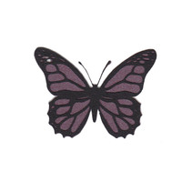 Butterfly Shape Pack