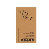 Safety Orange Swatch