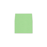 RSVP Square Flap Envelope Liners Limeade