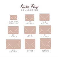 Christmas Feathers - Holiday Envelope Liner