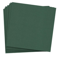 12 x 12 Cover Weight Fern