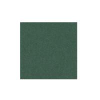 6.125 x 6.125 Cover Weight Fern