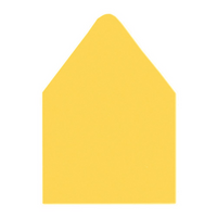 A+ Euro Flap Envelope Liners Sunflower