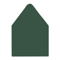 A9 Euro Flap Envelope Liners Fern