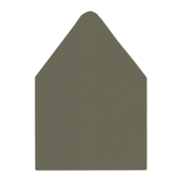 A9 Euro Flap Envelope Liners Jungle