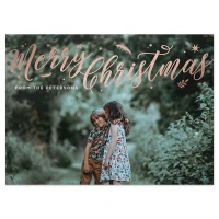 Merry Christmas - Christmas Card