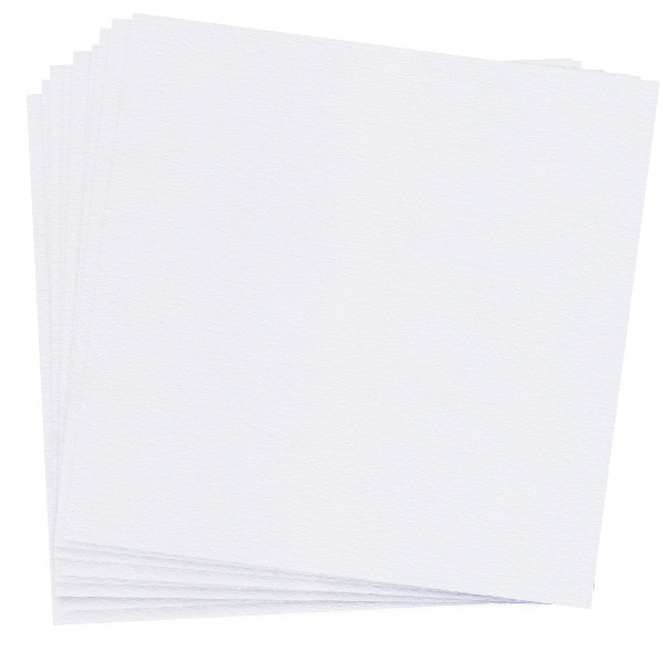 12 x 12 Cover Weight White Frost - Cards & Pockets