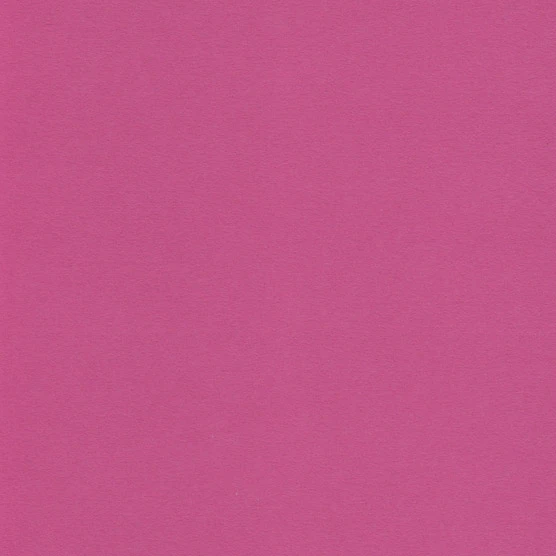 Pucha Color Colorplan Fuchsia Pink Paper, Cardstock, Envelopes & Pocket Invitations ...
