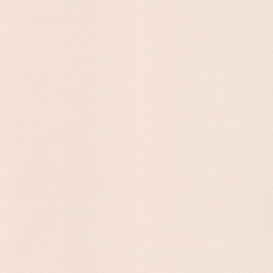 Colorplan Vellum White Paper, Cardstock, Envelopes & Pocket Invitations