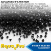 Aqua Pro 09-1413 Exterior, Fresh Water Filter for RV Aqua Pro 09-1413 Exterior, Fresh Water Filter for RV 09-1413 22.95 Fresh Water Plumbing Aqua Pro 21880 New Brands Hut LLC