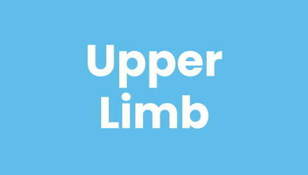 Upper Limb