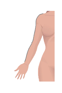 18.png 18.png